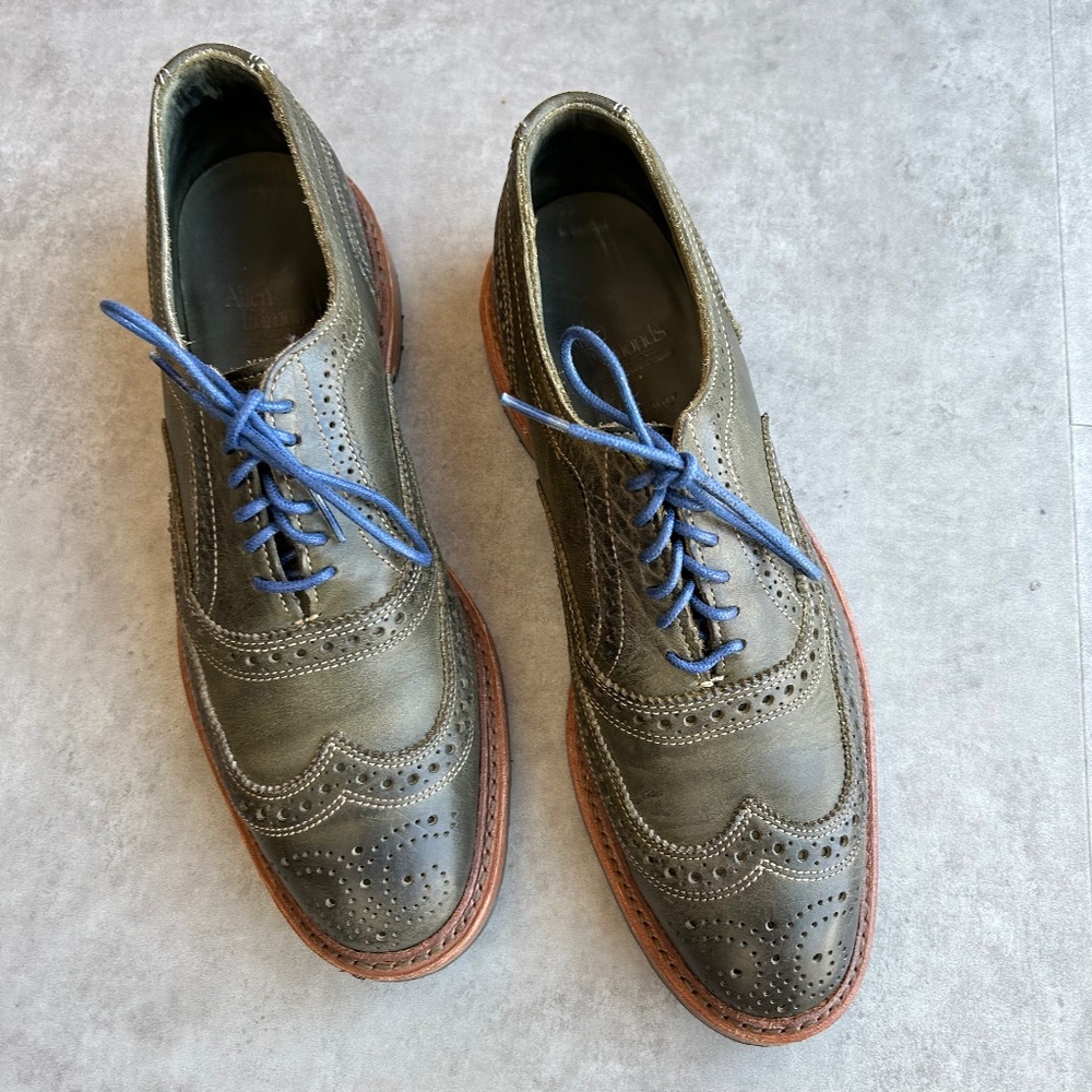 Allen Edmonds Ridgeway short-wing blucher, green cow leather, 8D